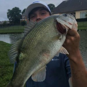 Meet your Posher, James